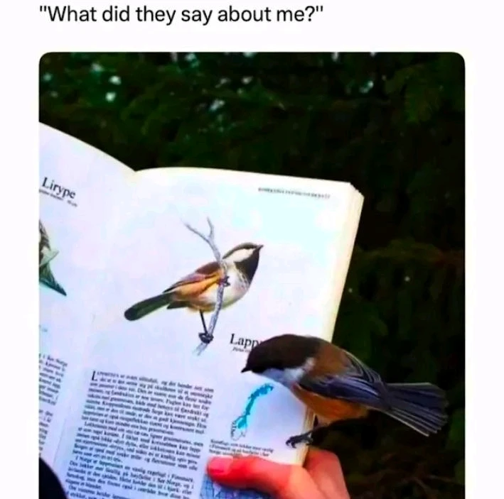 GIF uploaded by Meghna