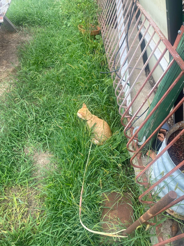 Image uploaded by Barry