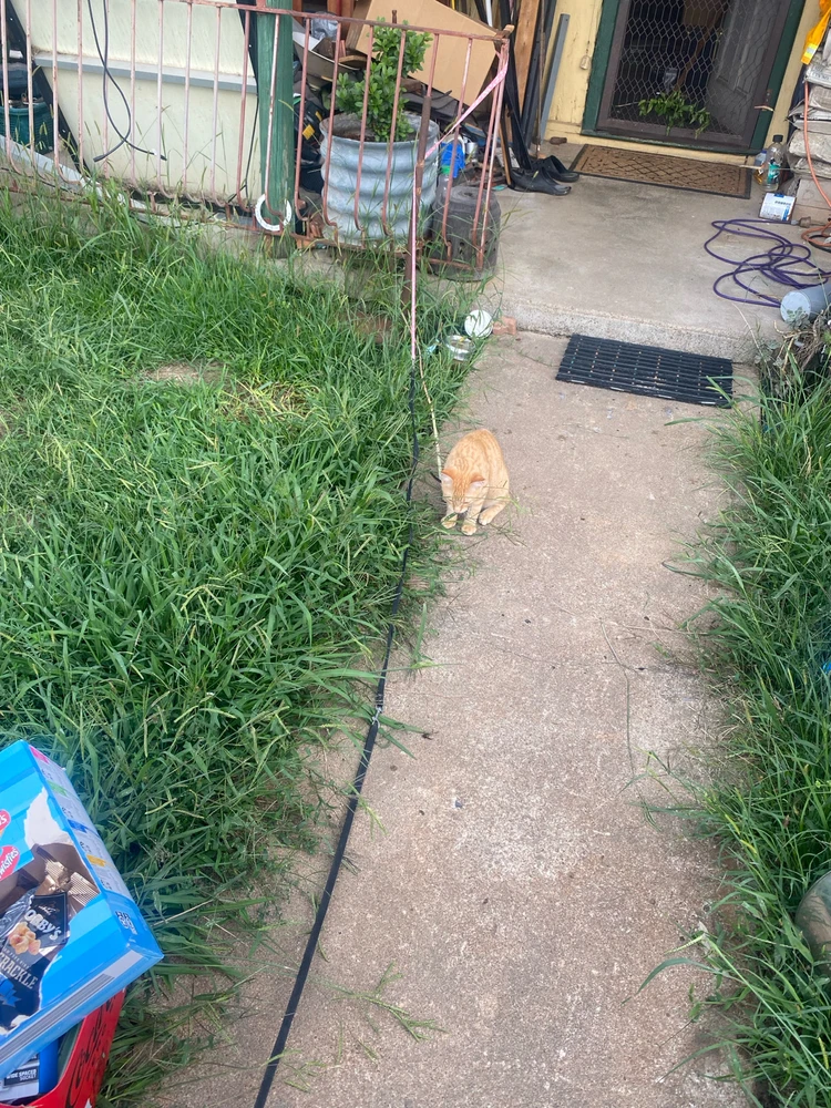 Image uploaded by Barry