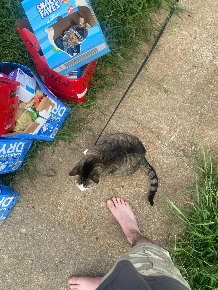 Image uploaded by Barry