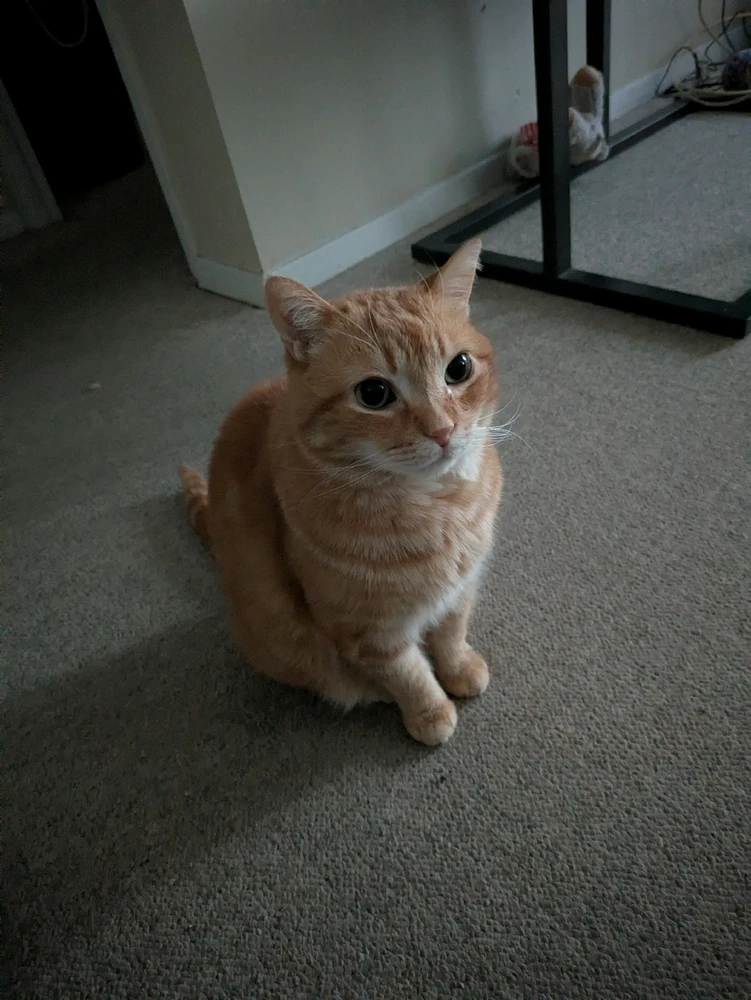 Image uploaded by Evan O