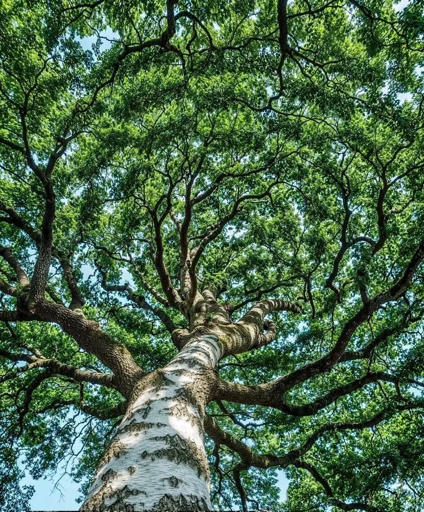 Image ajoutée par Rémi