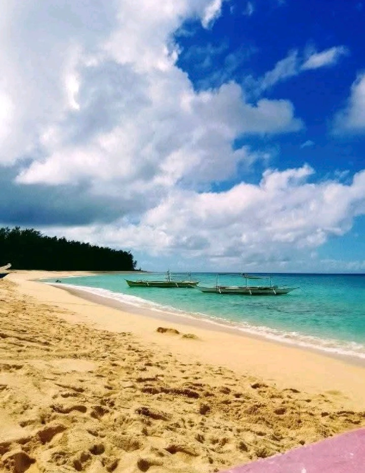 GIF uploaded by Marissa