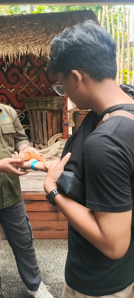 GIF diunggah oleh Putra