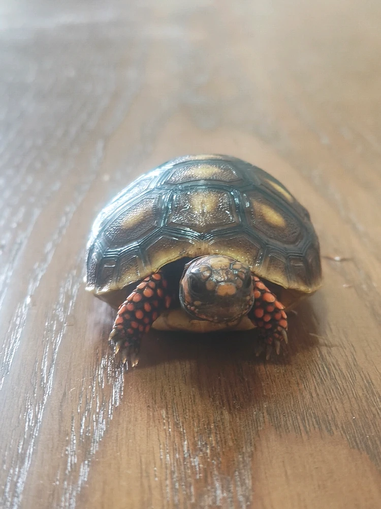 Image uploaded by Param