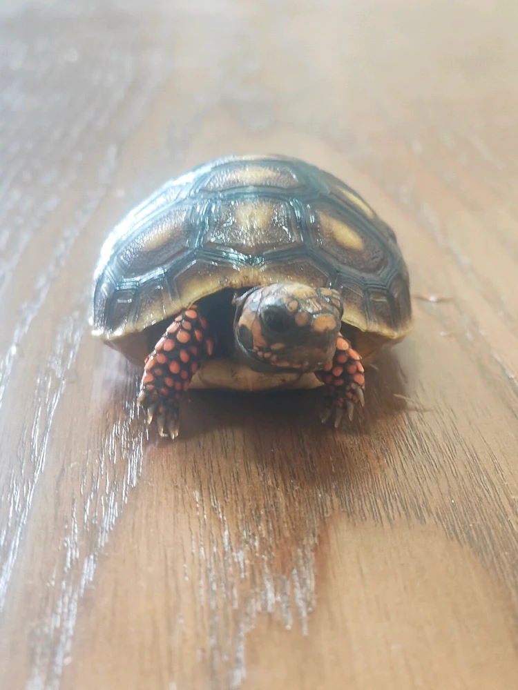 Image uploaded by Param