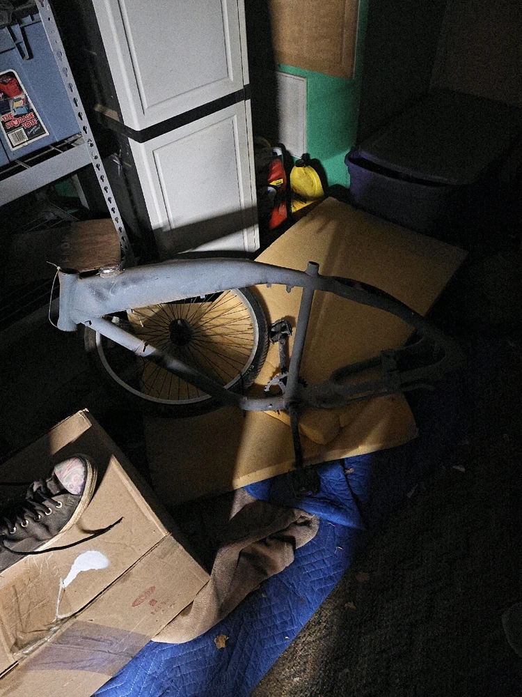 Image uploaded by Bones