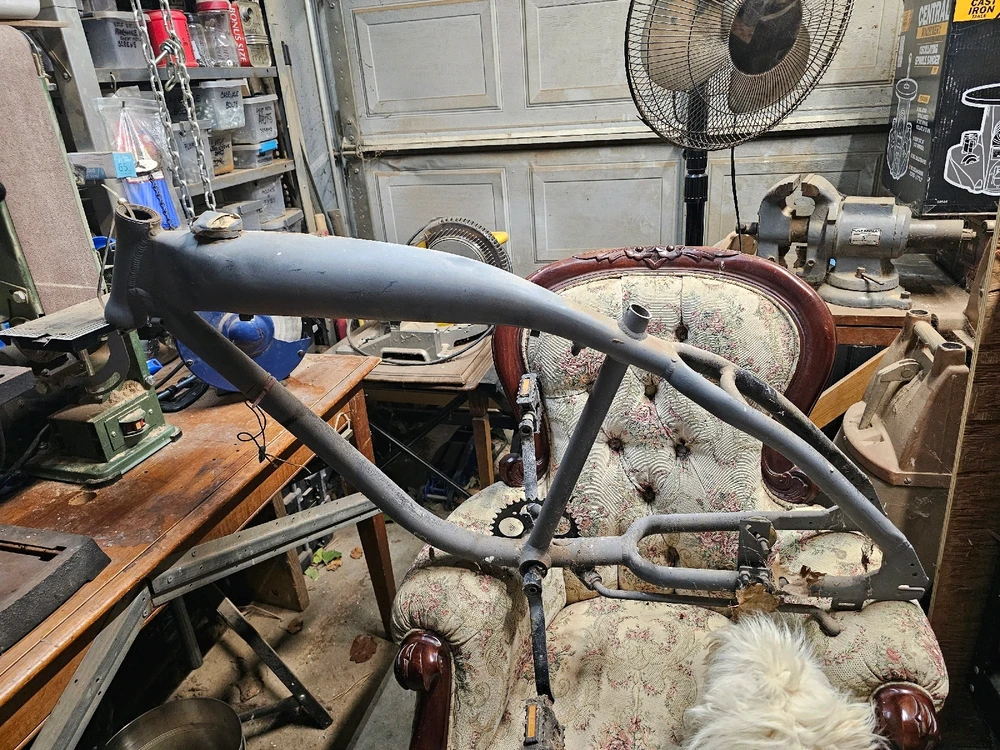 Image uploaded by Bones