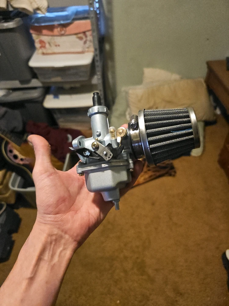 Image uploaded by Bones