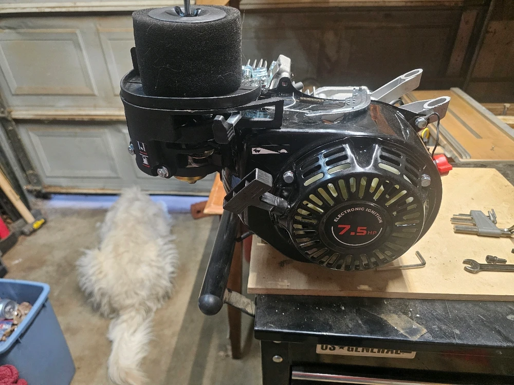 Image uploaded by Bones