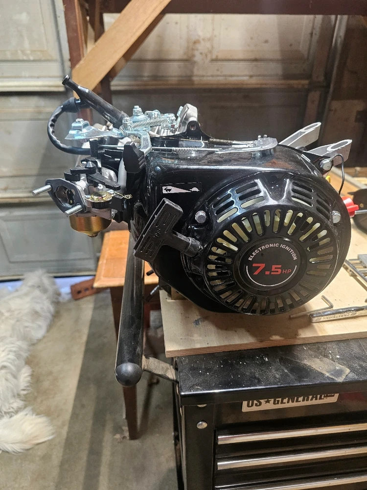 Image uploaded by Bones