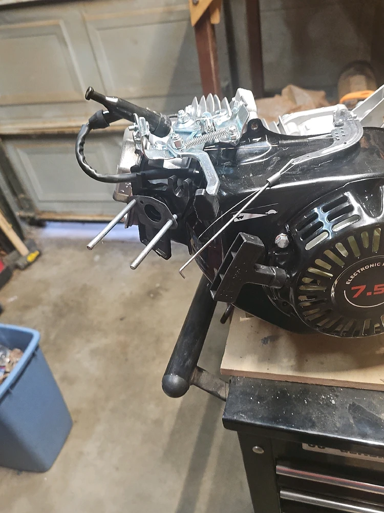 Image uploaded by Bones