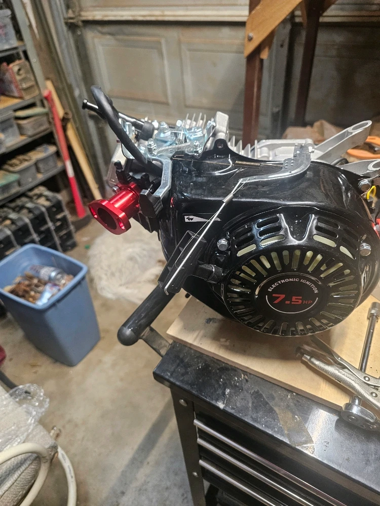 Image uploaded by Bones