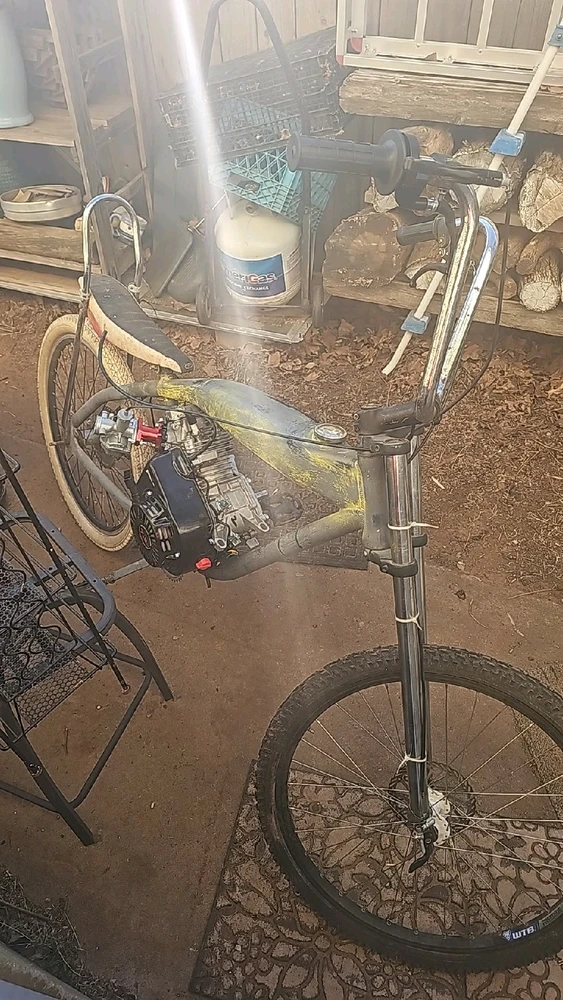 Image uploaded by Bones