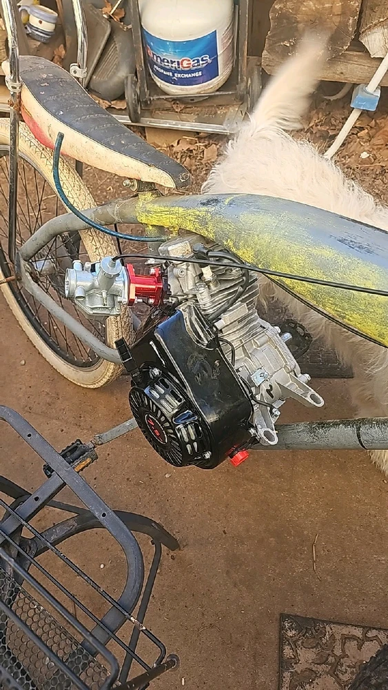 Image uploaded by Bones