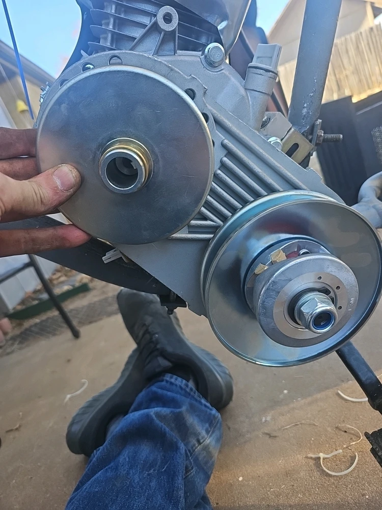 Image uploaded by Bones