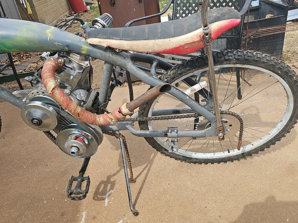 Image uploaded by Bones