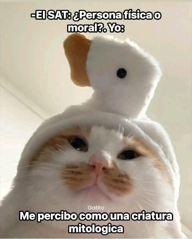 GIF subido por Sirena