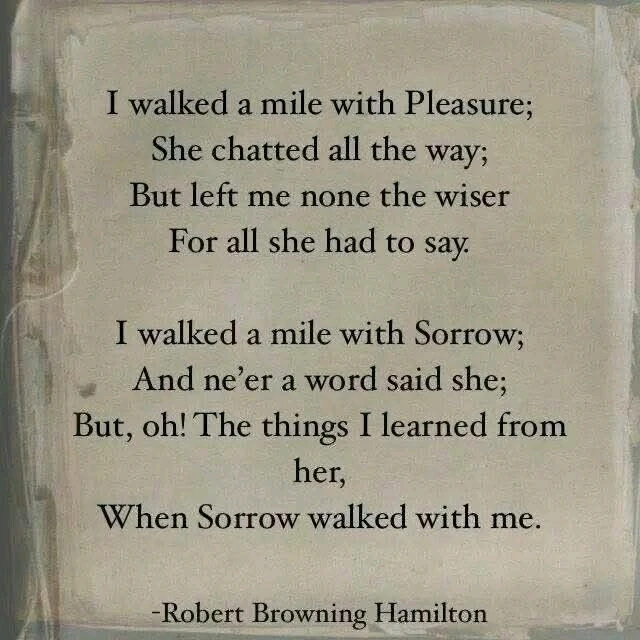 GIF uploaded by Aida