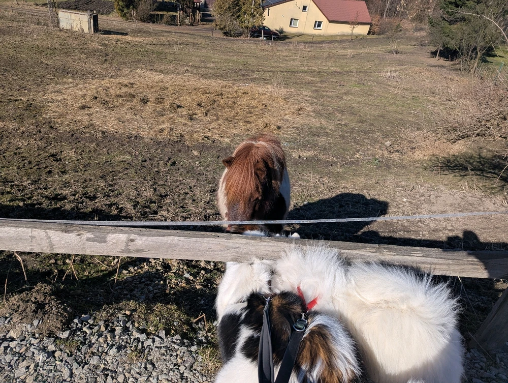 Zdjęcie dodane przez Kuba