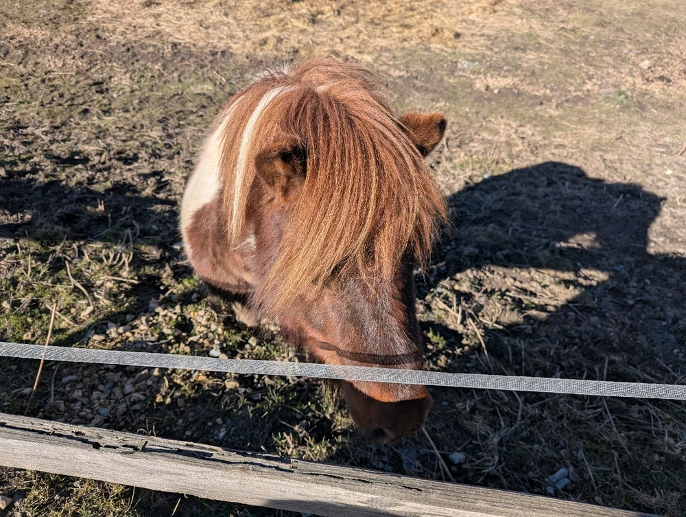 Zdjęcie dodane przez Kuba