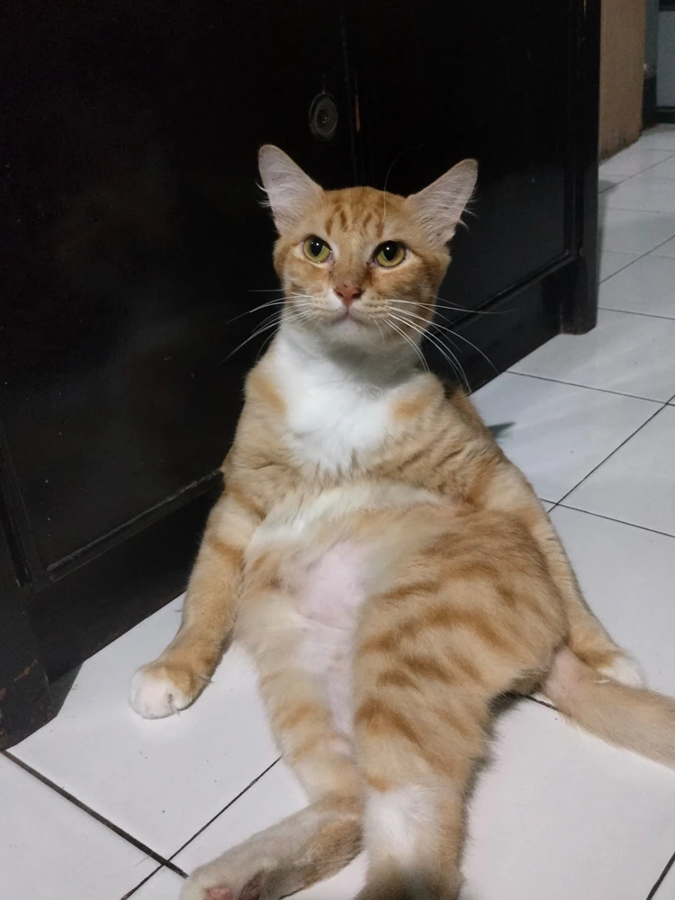 GIF uploaded by Fyra