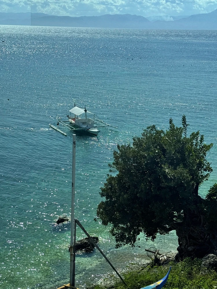 Image uploaded by Potato