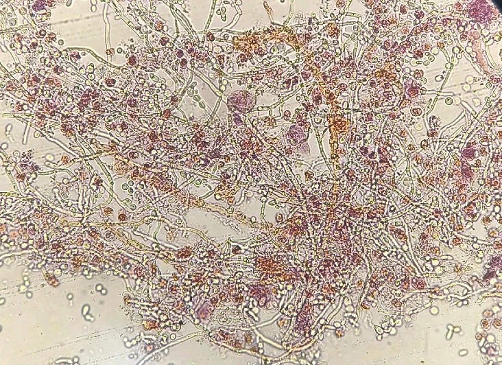 GIF subido por May Cruz Reyes