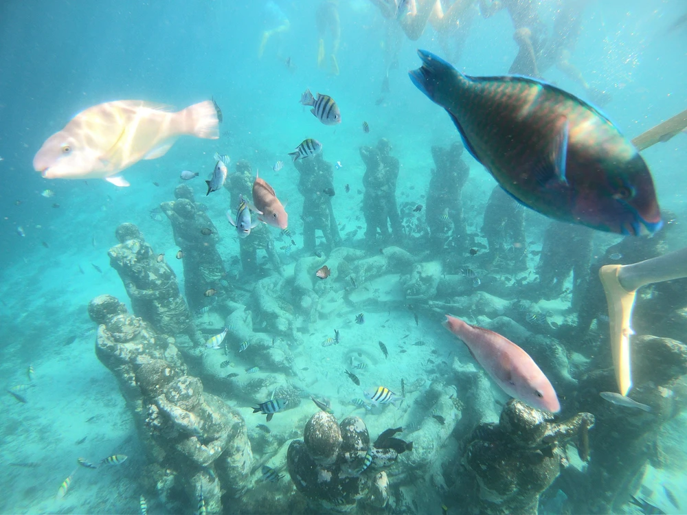 Image uploaded by Diana