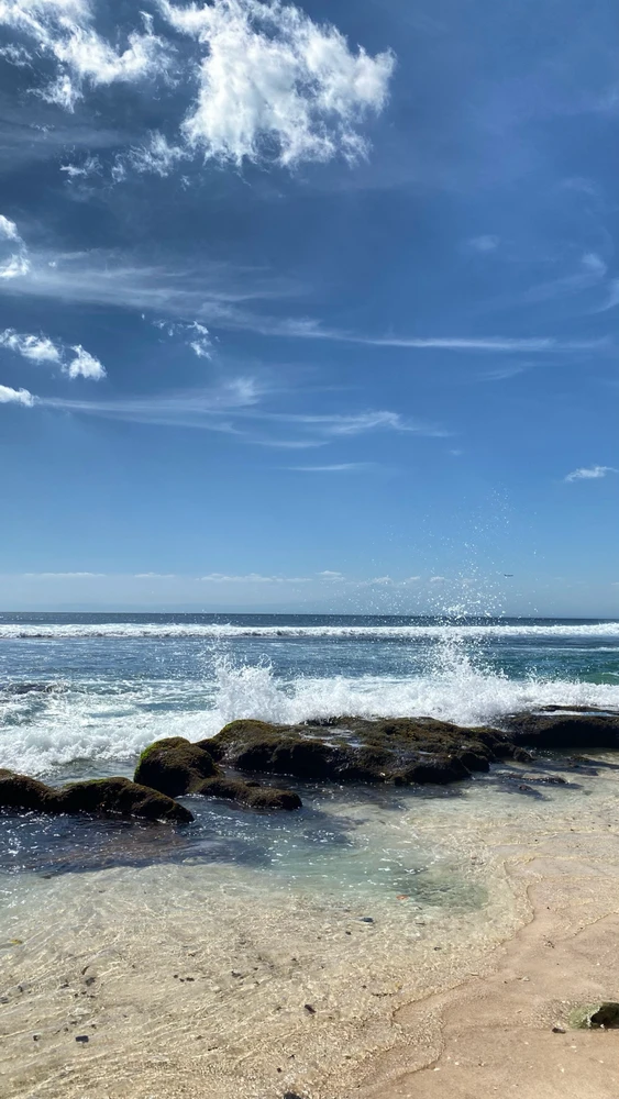 Image uploaded by Diana