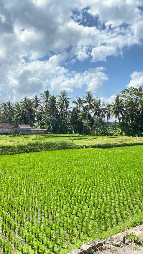 Image uploaded by Diana