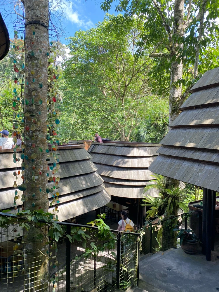 Image uploaded by Diana