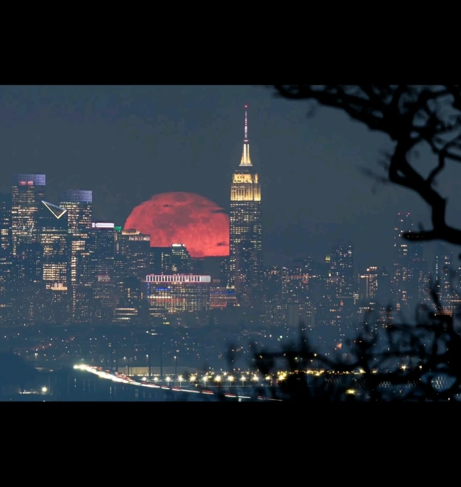 Image uploaded by Maili