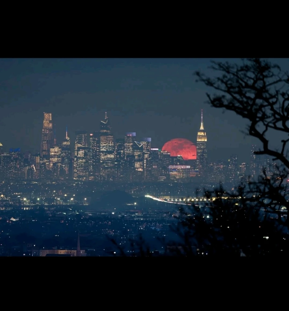 Image uploaded by Maili