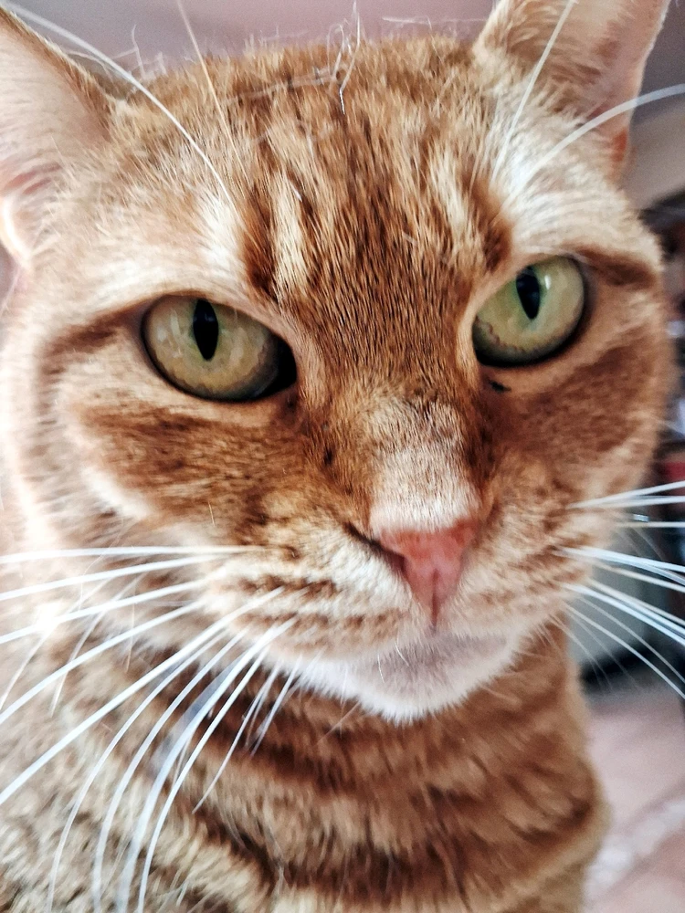 GIF uploaded by Michalis