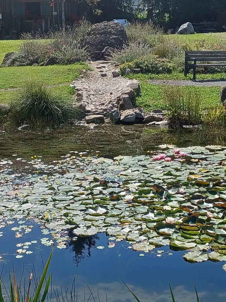 GIF uploaded by 🌙✨ℳℯ𝓁𝒶𝓃𝒾𝓆𝓊ℯ✨🌙