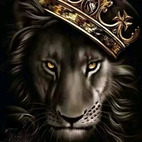 GIF uploaded by Wayward Sage Of the Fourth Southern Winds