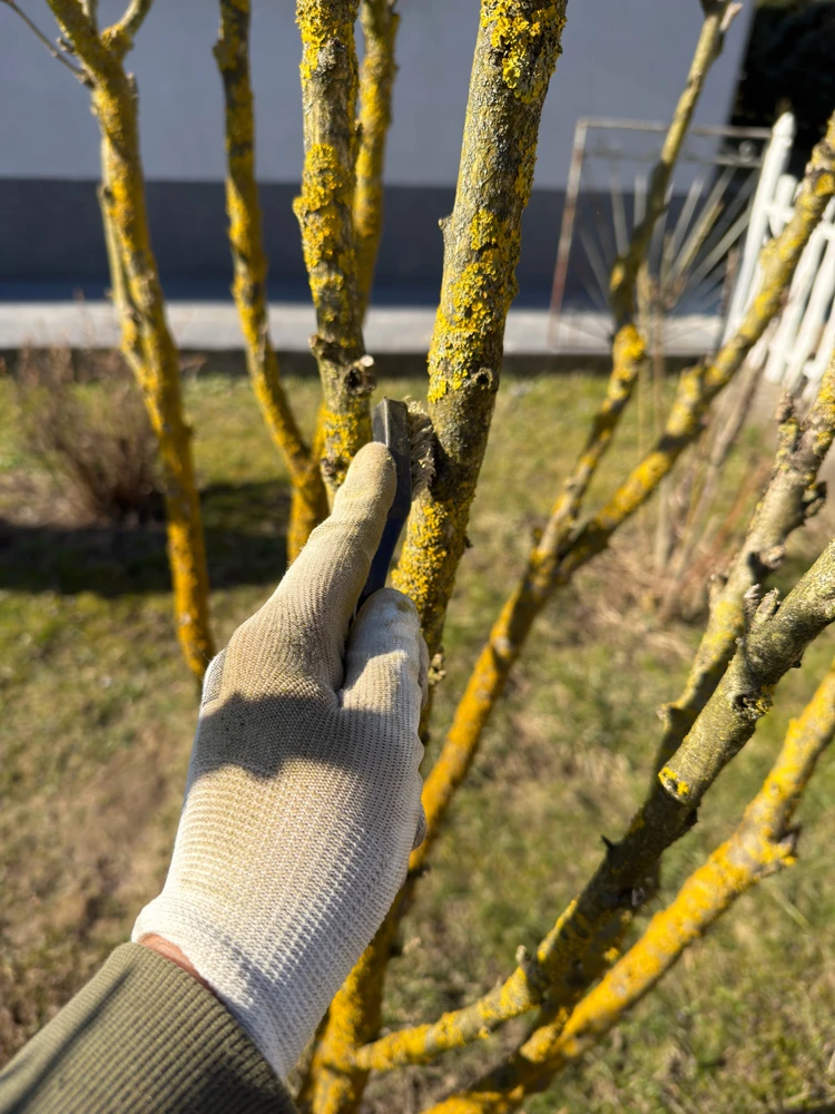 Fotku nahral/-a Róbert