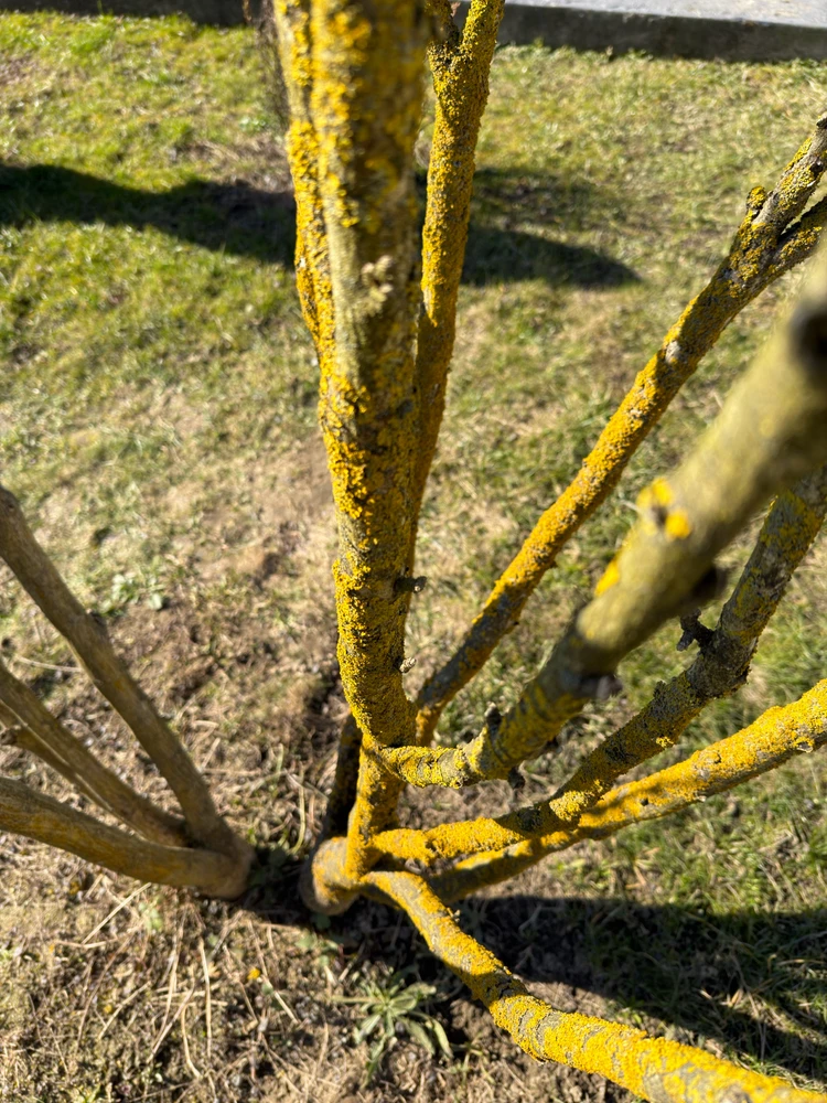 Fotku nahral/-a Róbert