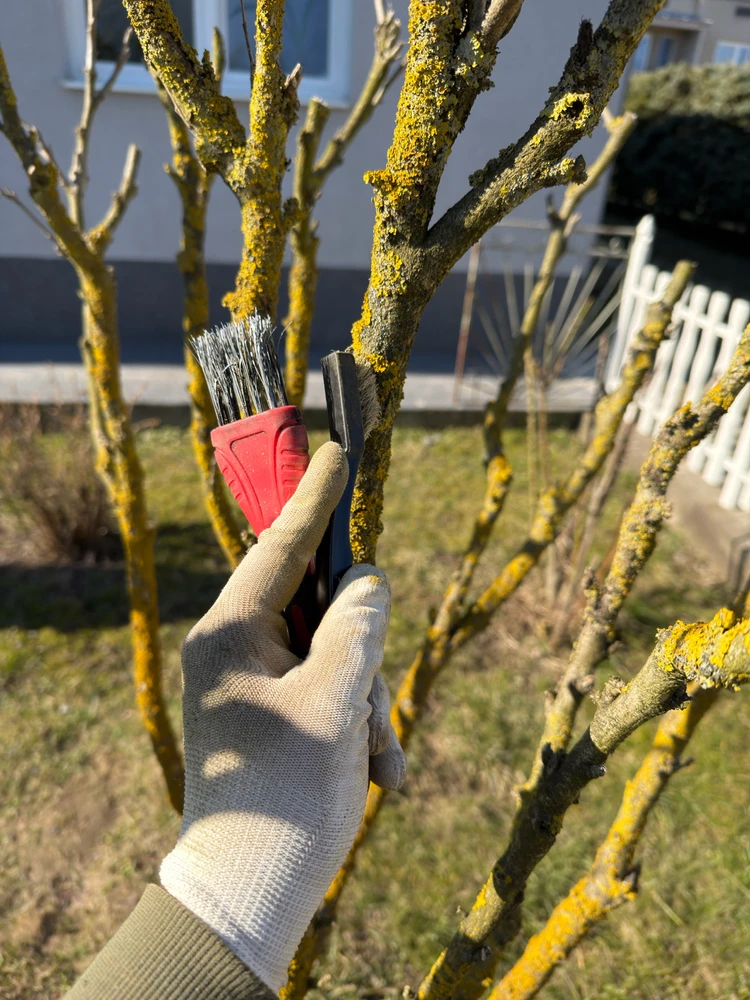 Fotku nahral/-a Róbert