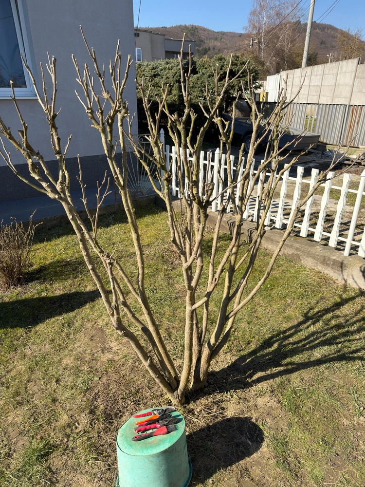 Fotku nahral/-a Róbert