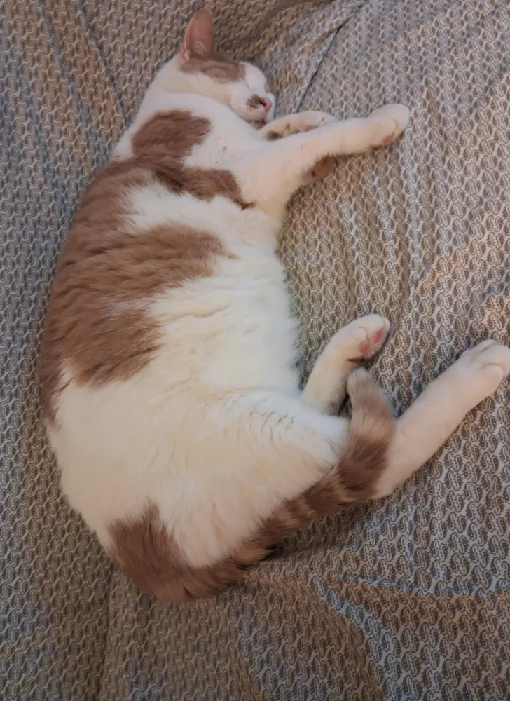 GIF uploaded by Martin