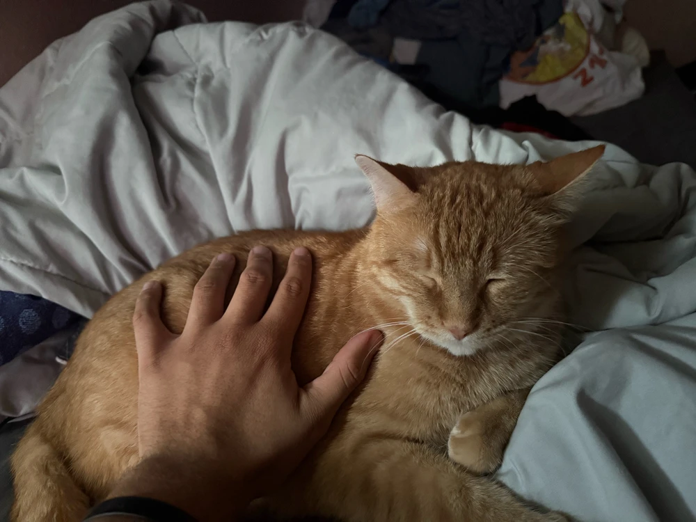 GIF uploaded by derek