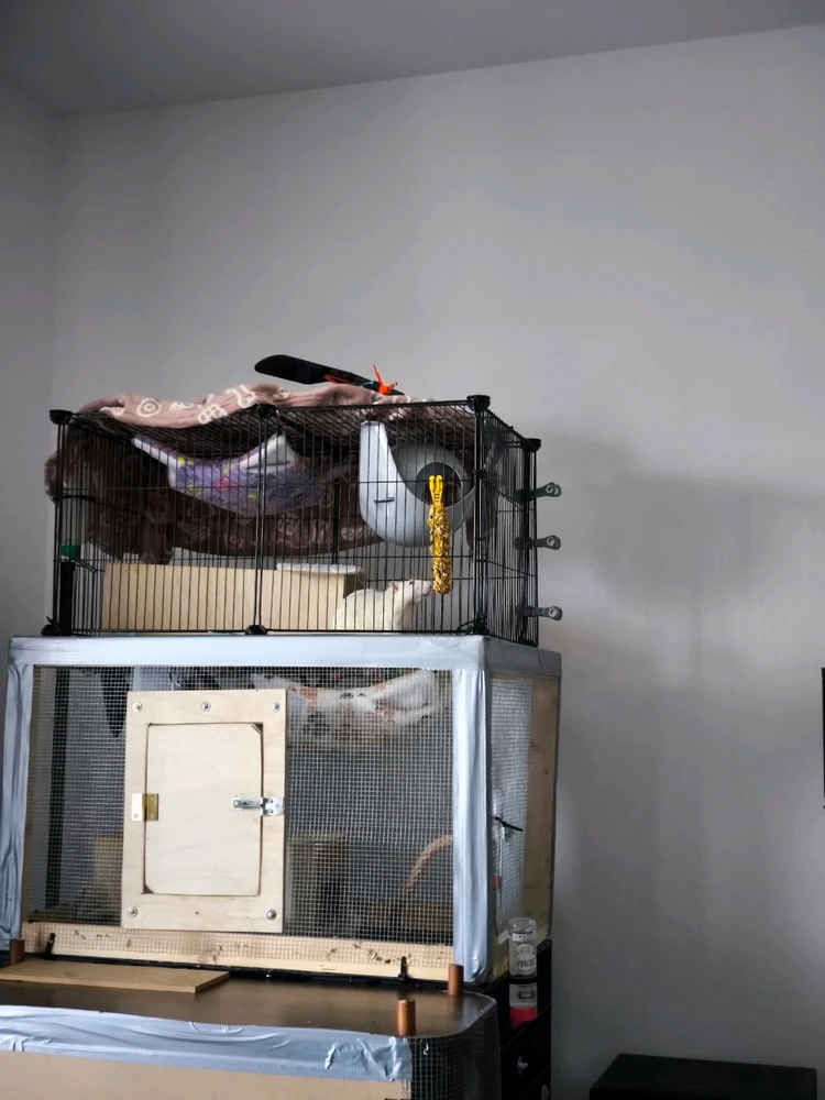 GIF hochgeladen von Luzi