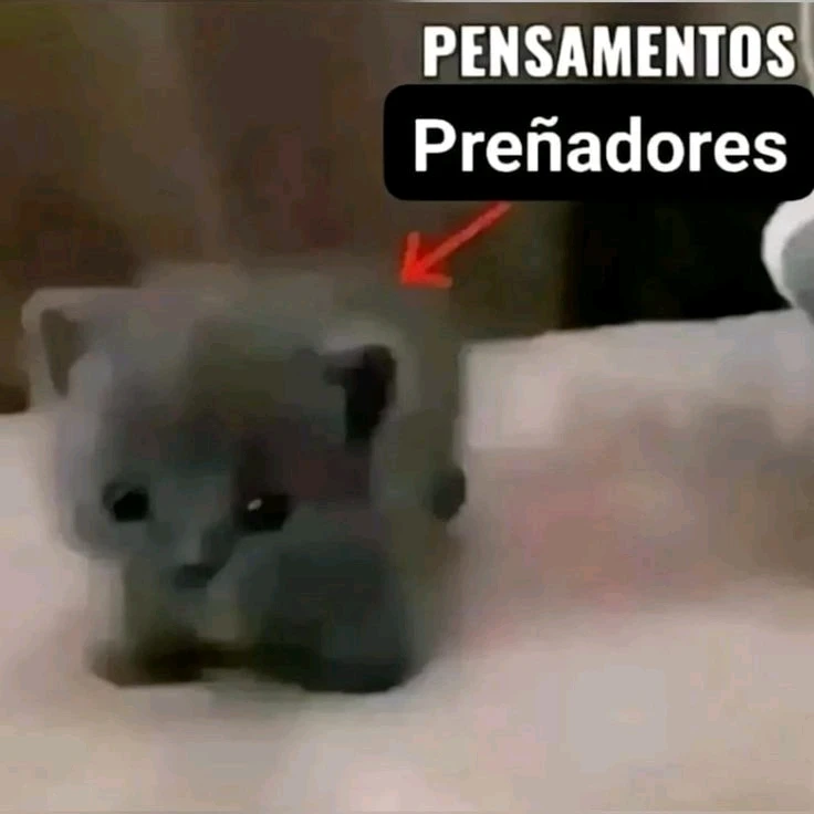 GIF subido por Simón