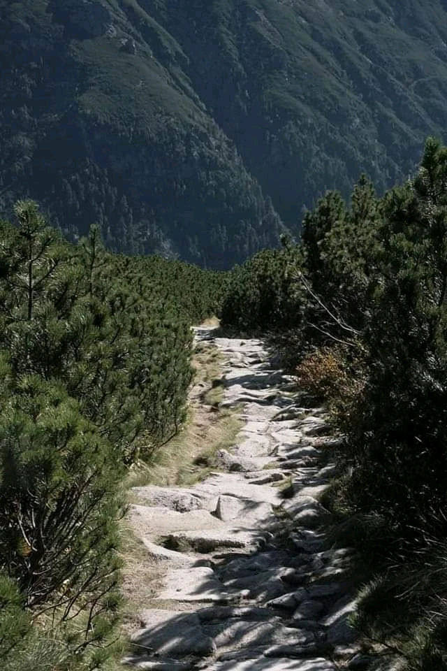 GIF dodany przez Ula