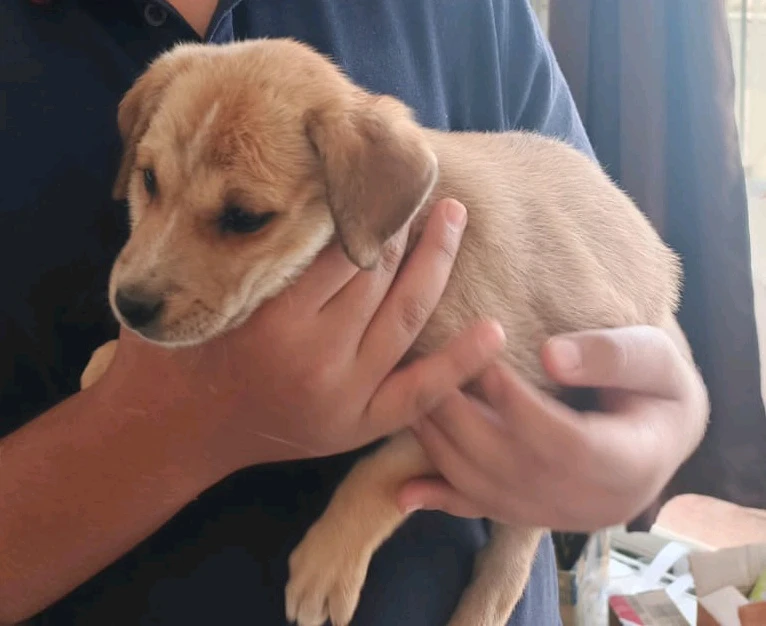 Image uploaded by Yogesh