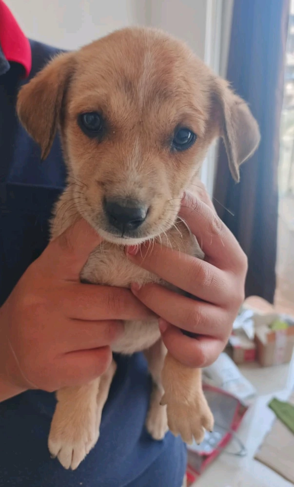 Image uploaded by Yogesh