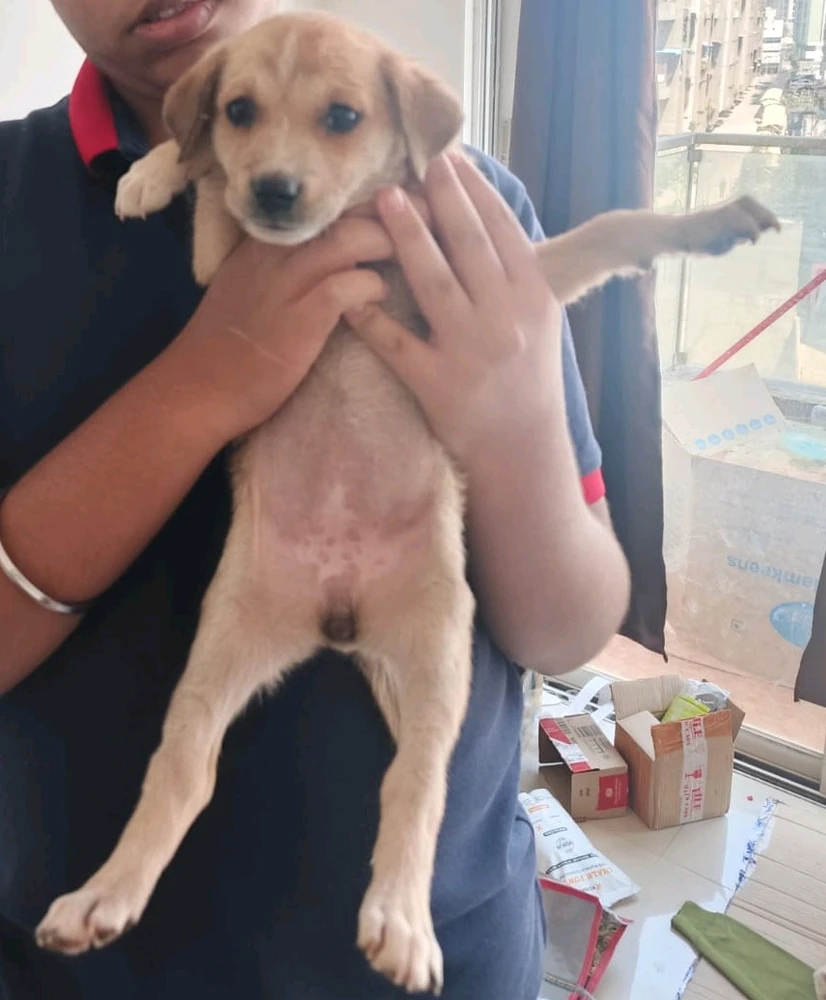 Image uploaded by Yogesh