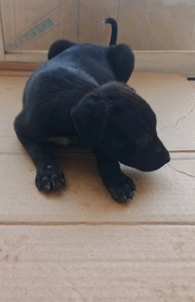 Image uploaded by Yogesh